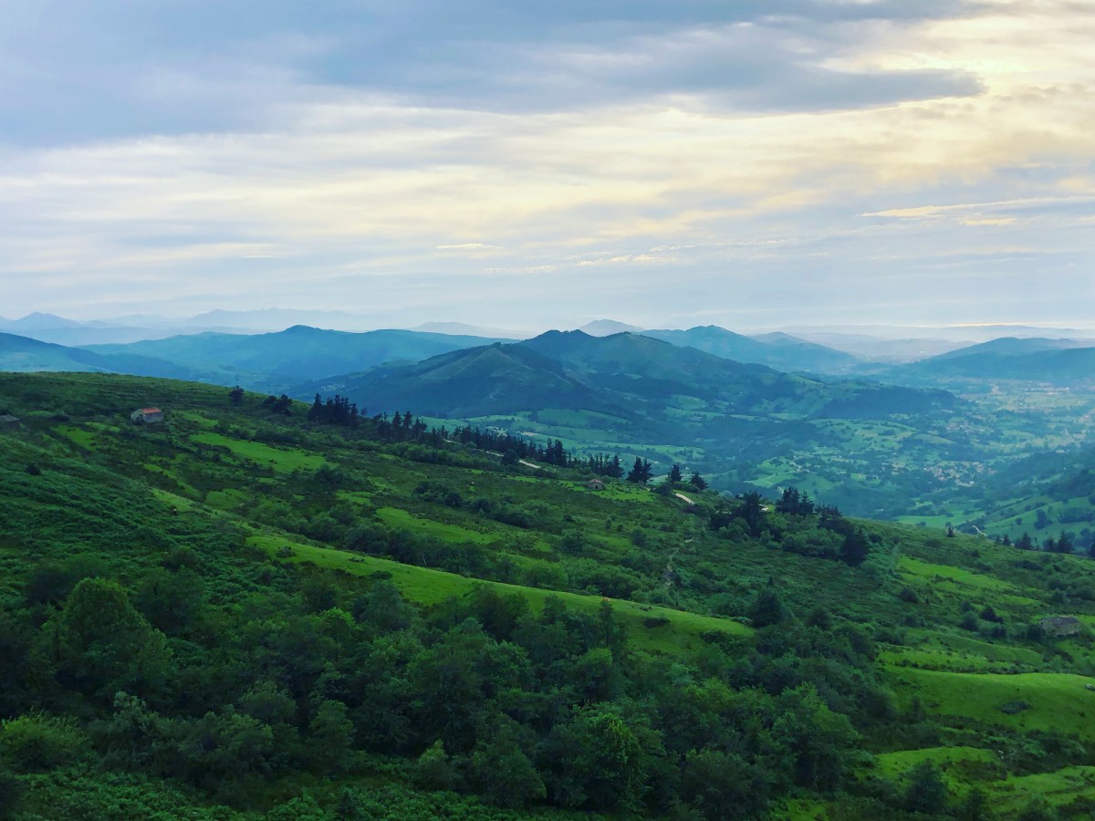 Las vistas